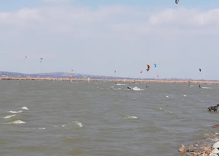 Seeyou Agard Gárdony